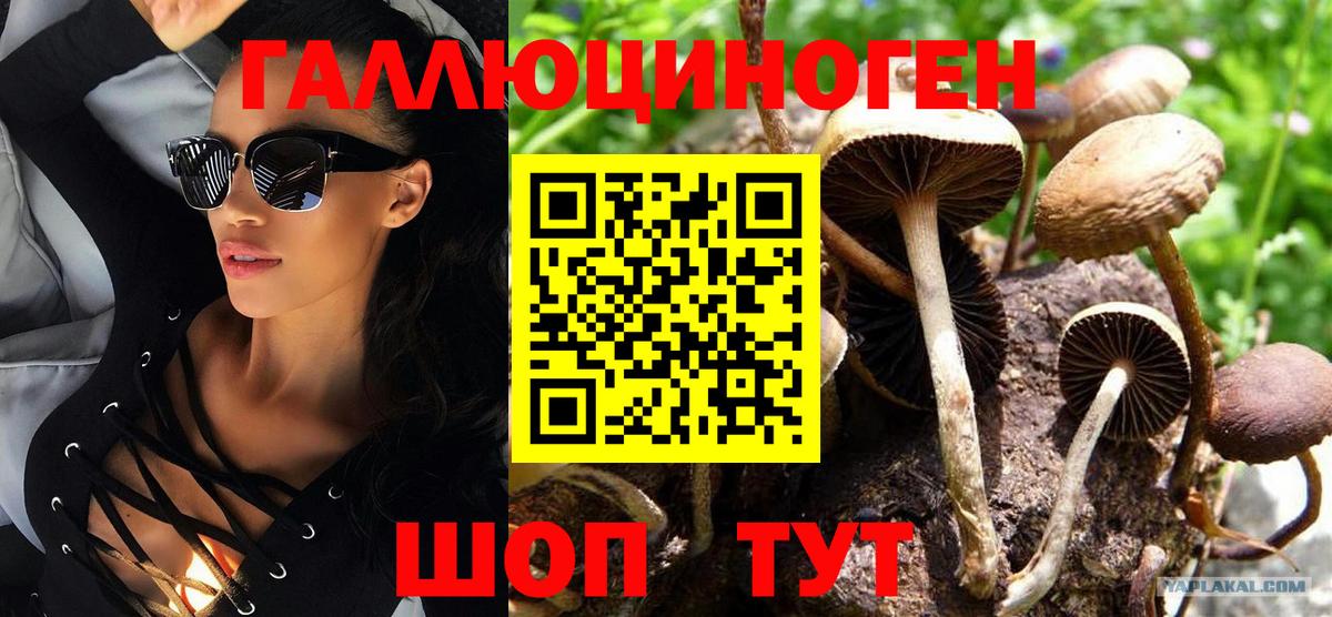 Псилоцибиновые грибы GOLDEN TEACHER Губкинский